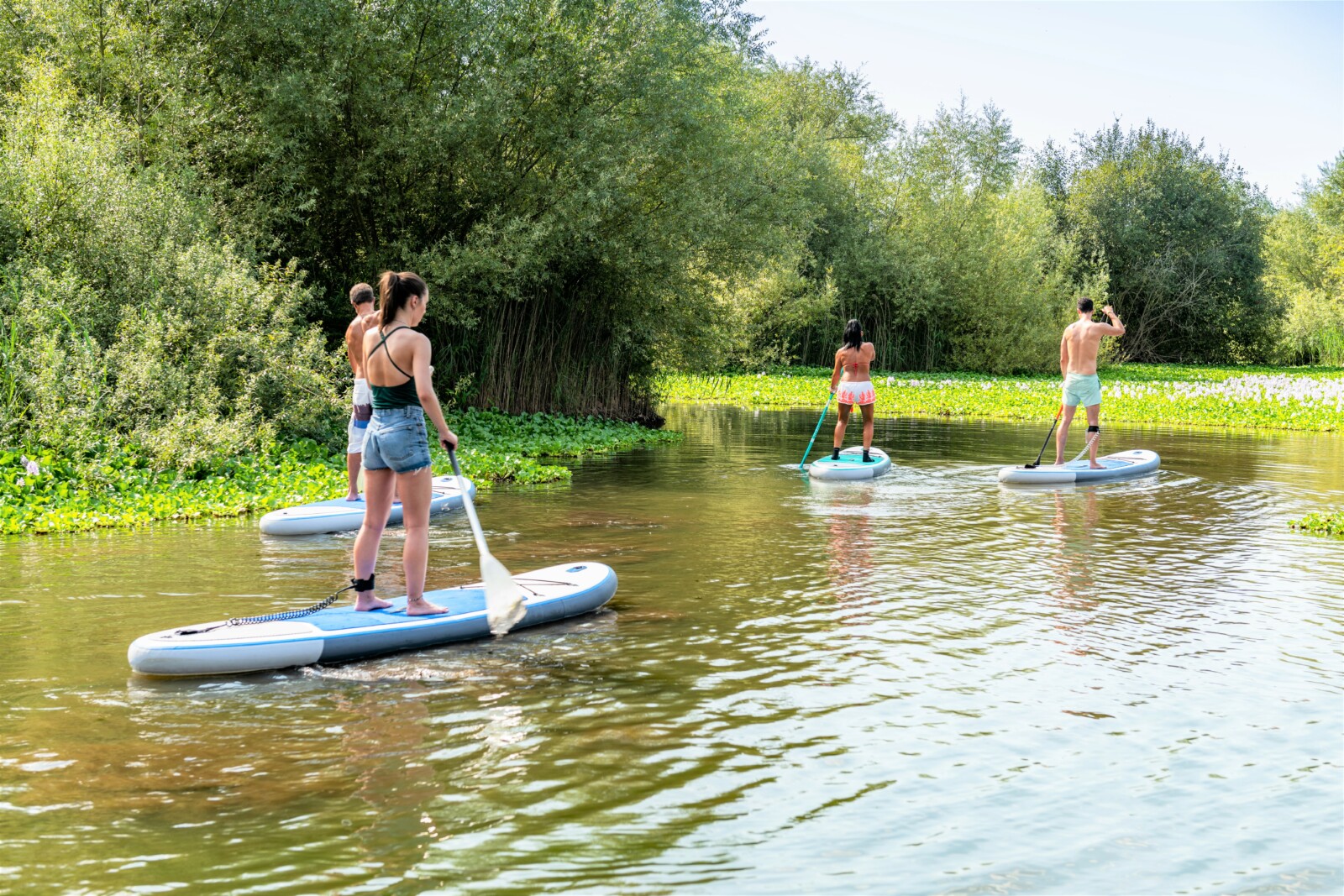 Frauen und Männer beim Stand-Up Paddleboarding auf einem Fluss.