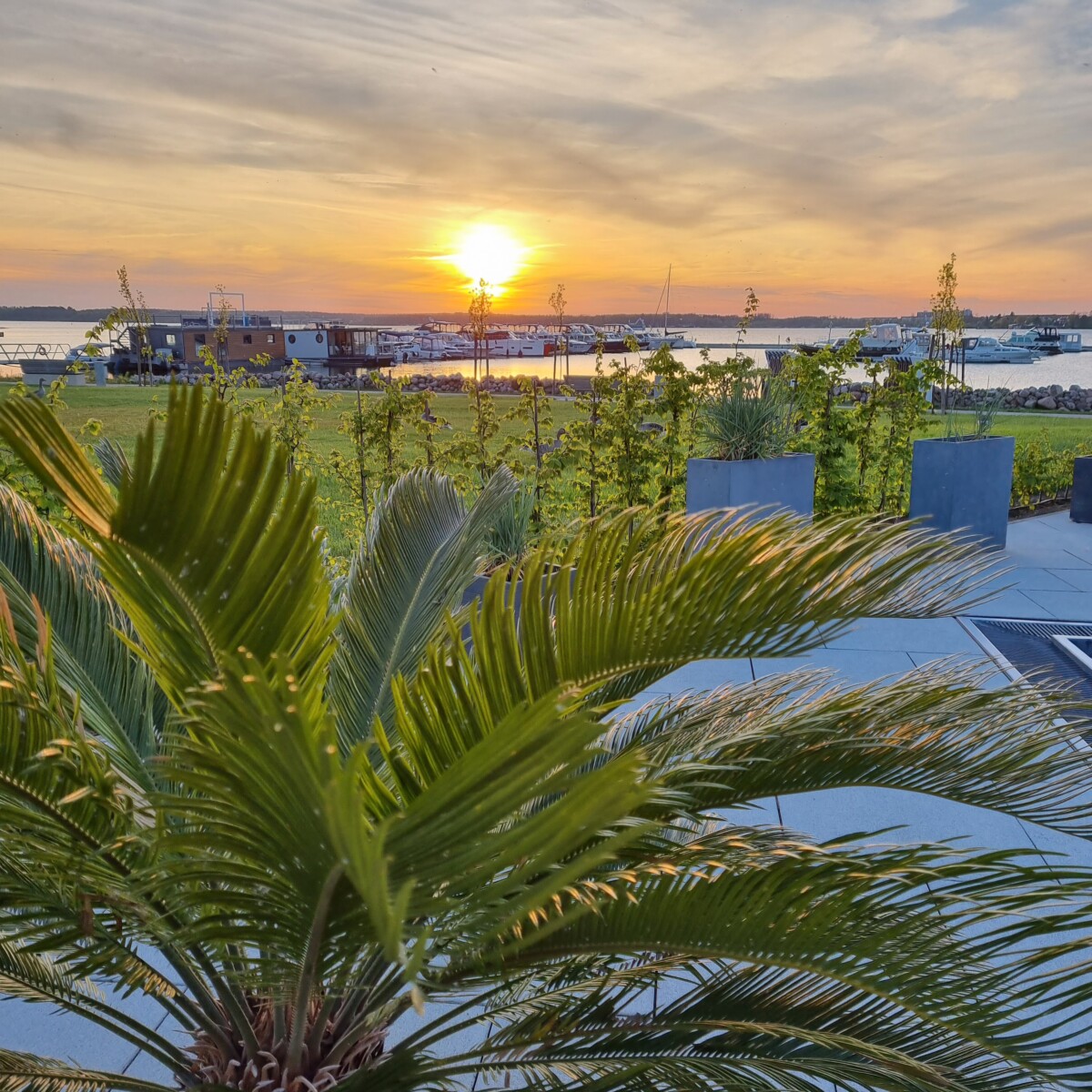 Palmenblätter auf der Terrasse des MareMüritz mit Blick auf den Yachthafen und die Müritz.