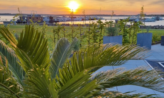 Palmenblätter auf der Terrasse des MareMüritz mit Blick auf den Yachthafen und die Müritz.