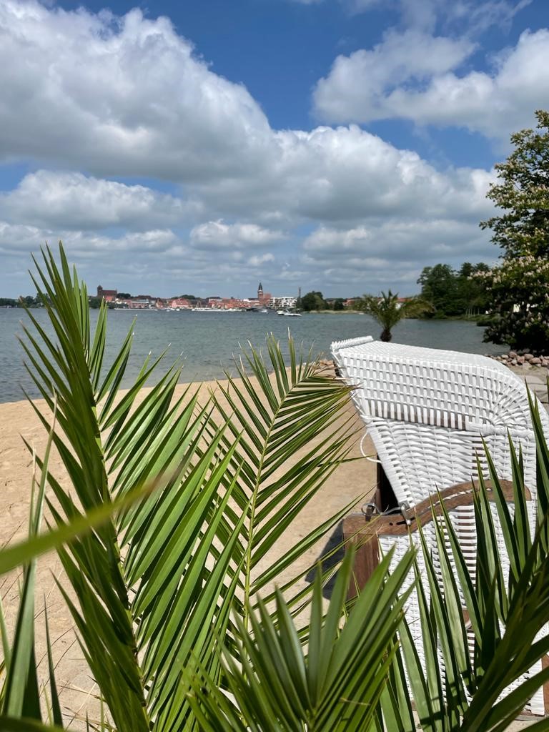 Palmenblätter und ein Strandkorb am Strand am See vor dem MareMüritz.
