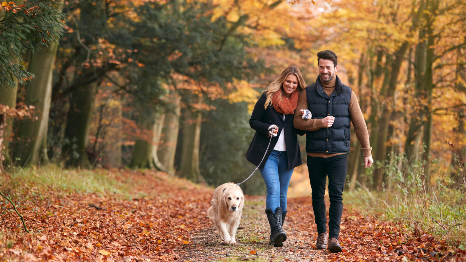 Ein Paar geht mit dem Hund im Herbstwald spazieren.