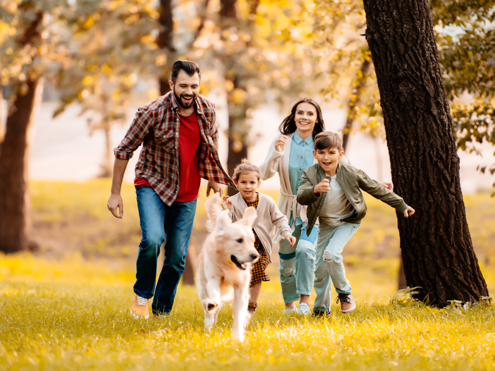 Eine Familie mit zwei Kindern und einem Hund rennt über eine grüne Wiese.