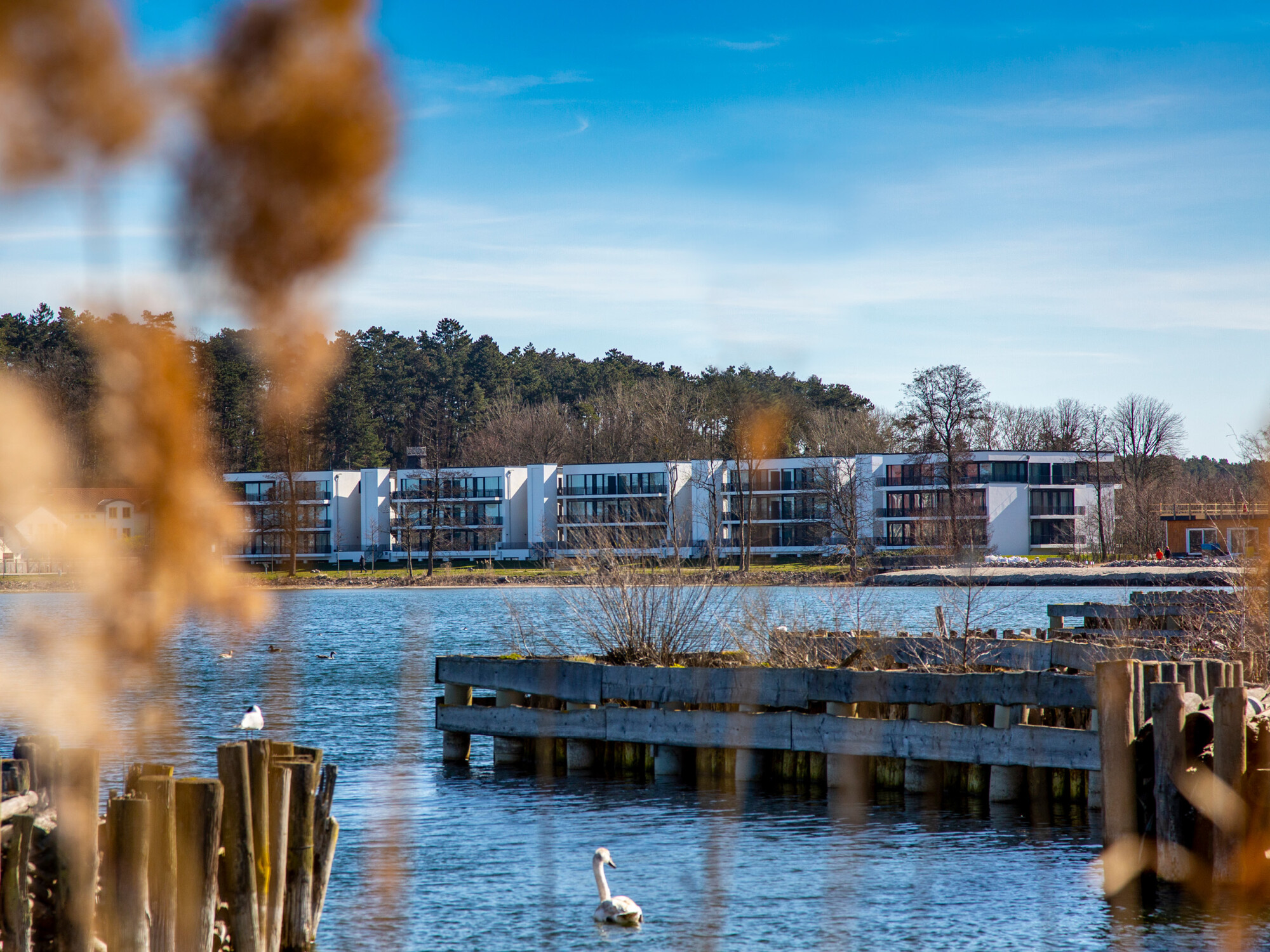 Die Appartementgebäude des Maremüritz von der anderen Uferseite mit Zweig im Vordergrund.
