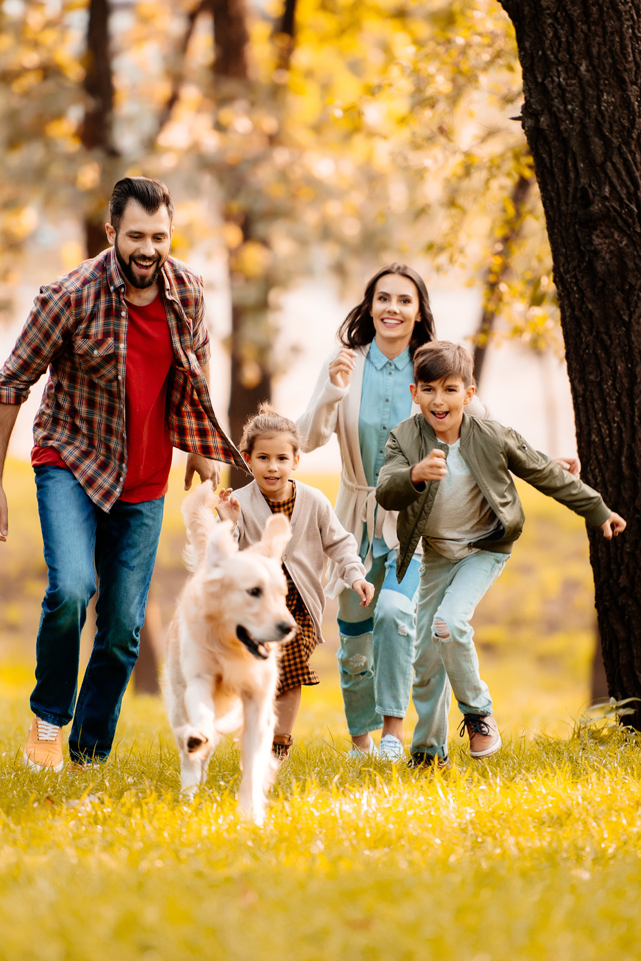 Eine Familie mit zwei Kindern und einem Hund rennt über eine Wiese.