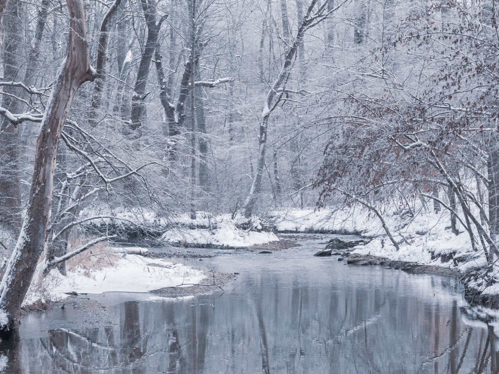 Ein Bach im winterlichen Wald mit Schnee.