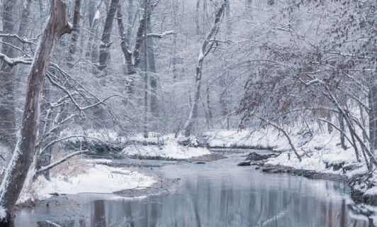 Ein Bach im winterlichen Wald mit Schnee.