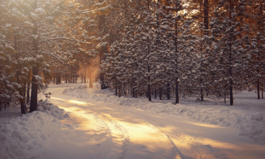 Abendsonne auf einem verschneiten Weg in einem Wald im Winter.