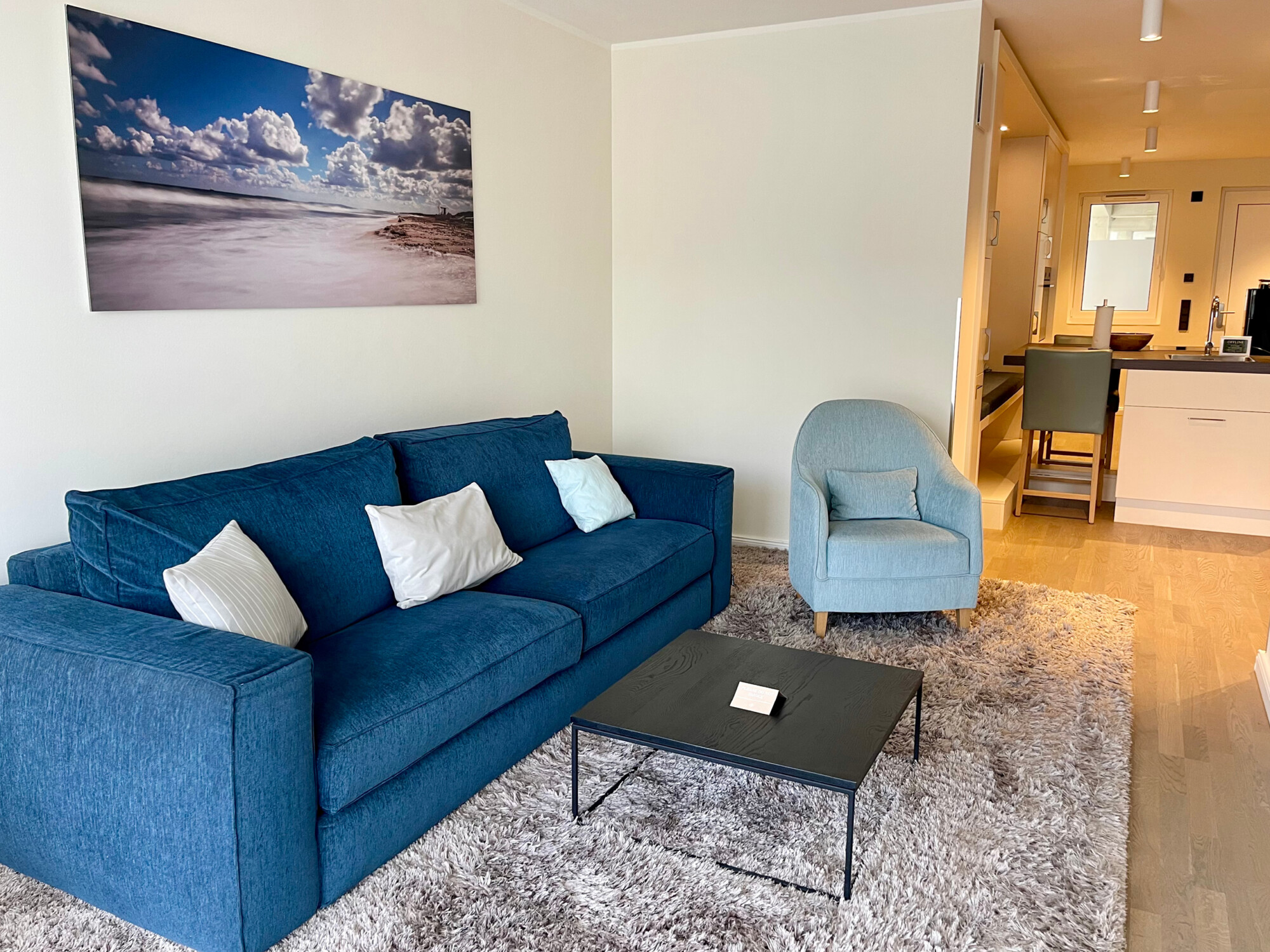 blaue Couch im Wohnbereich der Ferienwohnung Apollo an der Müritz