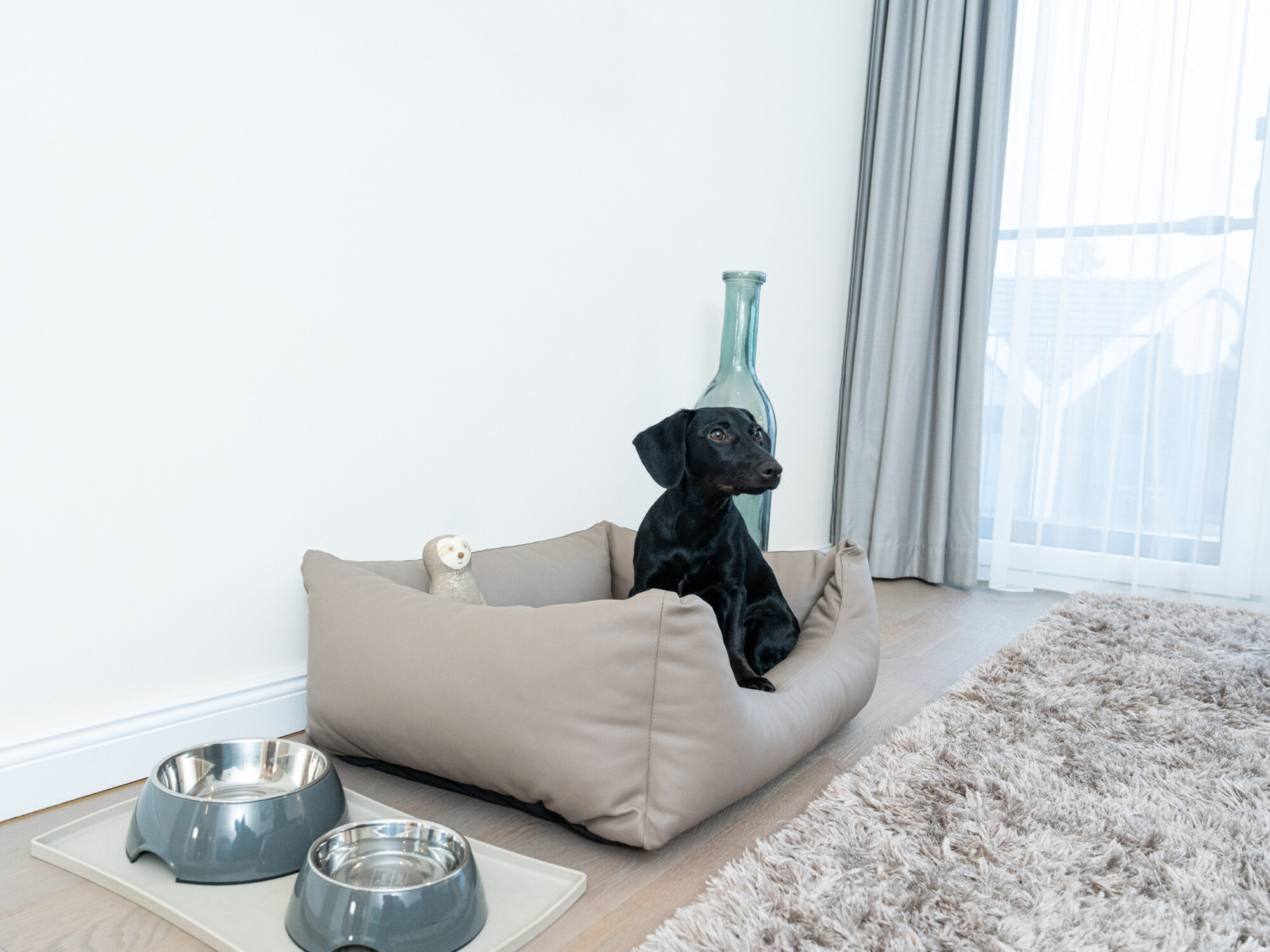 Hund im Hundekorb im Apartmenthotel in Waren