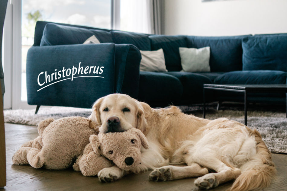 Ferienwohnung mit Hund nahe der Müritz