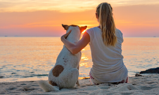 Hund mit Frauchen am Strand bei Sonnenuntergang im Urlaub mit Hund