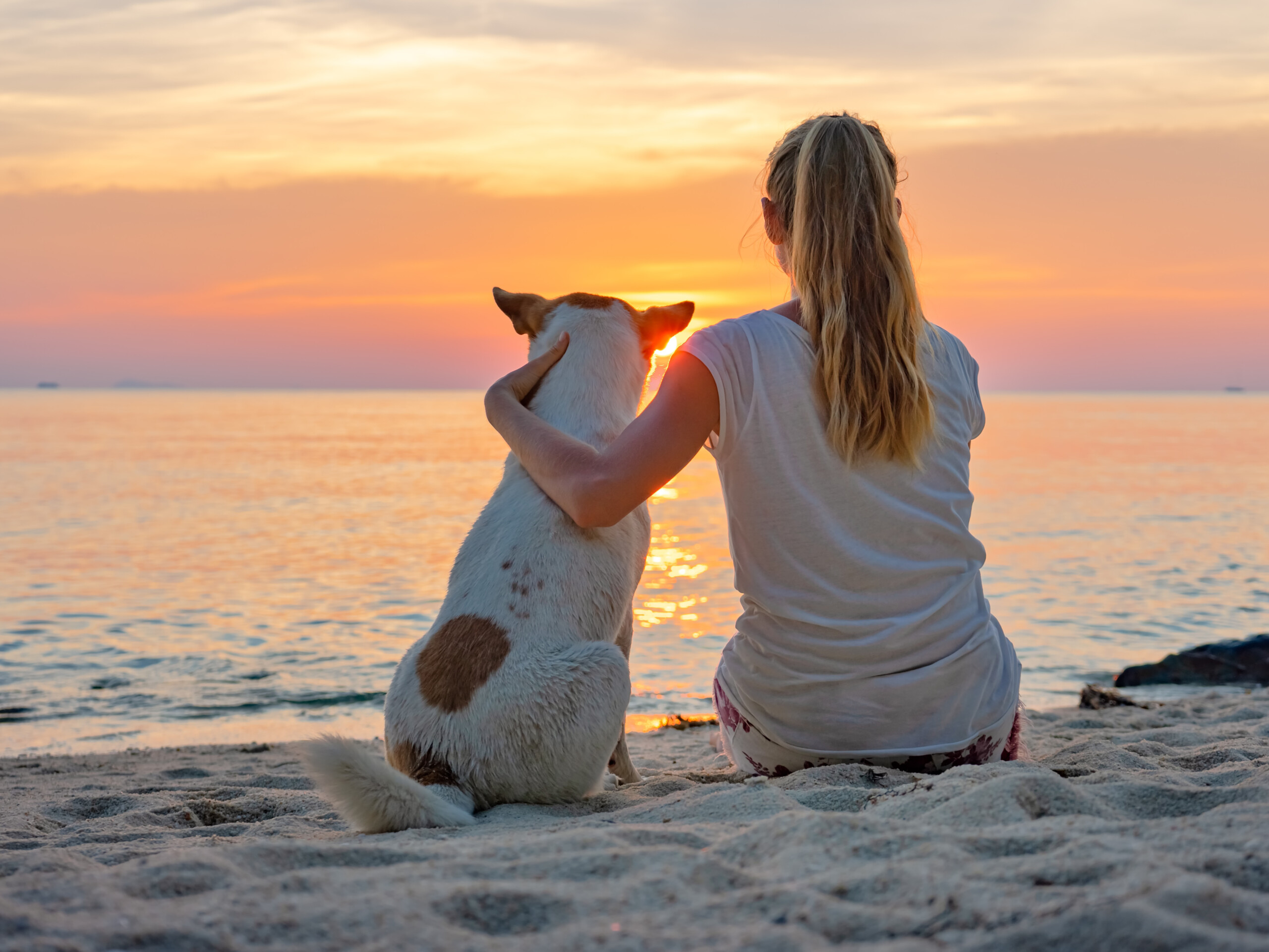 Hund mit Frauchen am Strand bei Sonnenuntergang im Urlaub mit Hund
